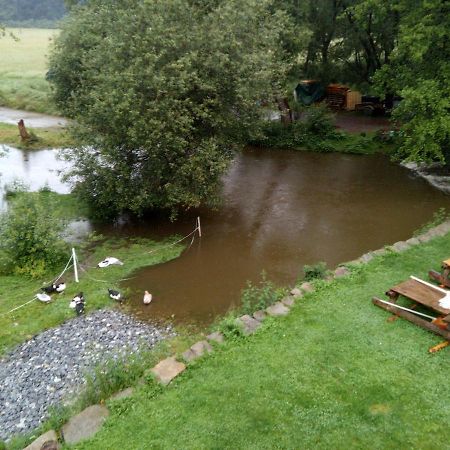 Biofarma Dolejsi Mlyn Villa Kamberk Екстериор снимка