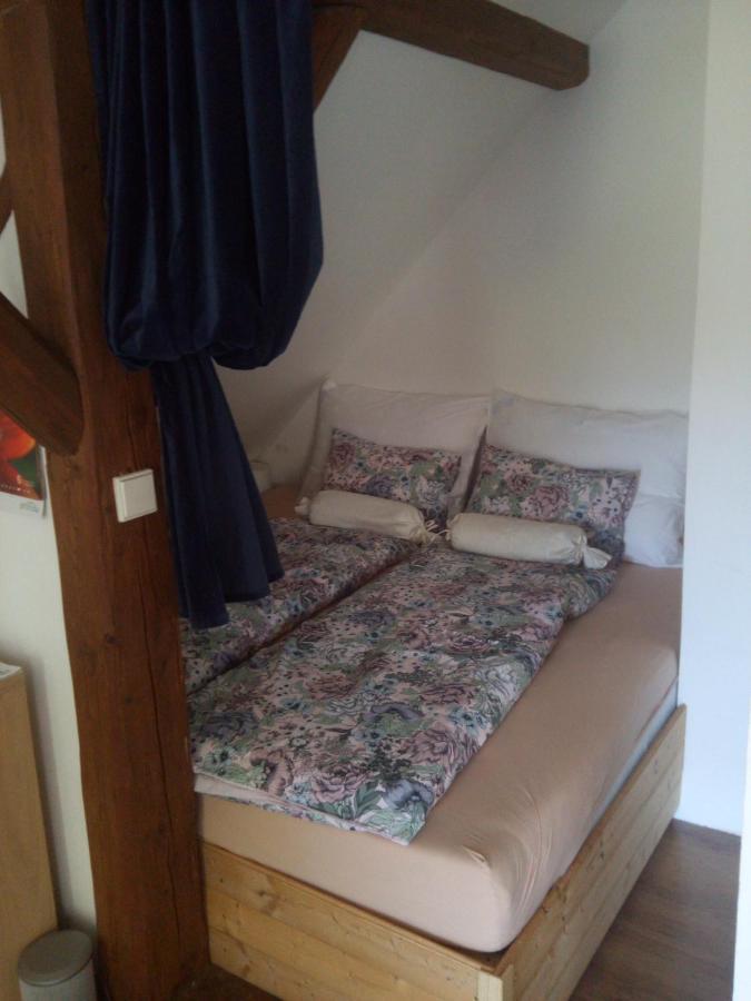 Biofarma Dolejsi Mlyn Villa Kamberk Екстериор снимка