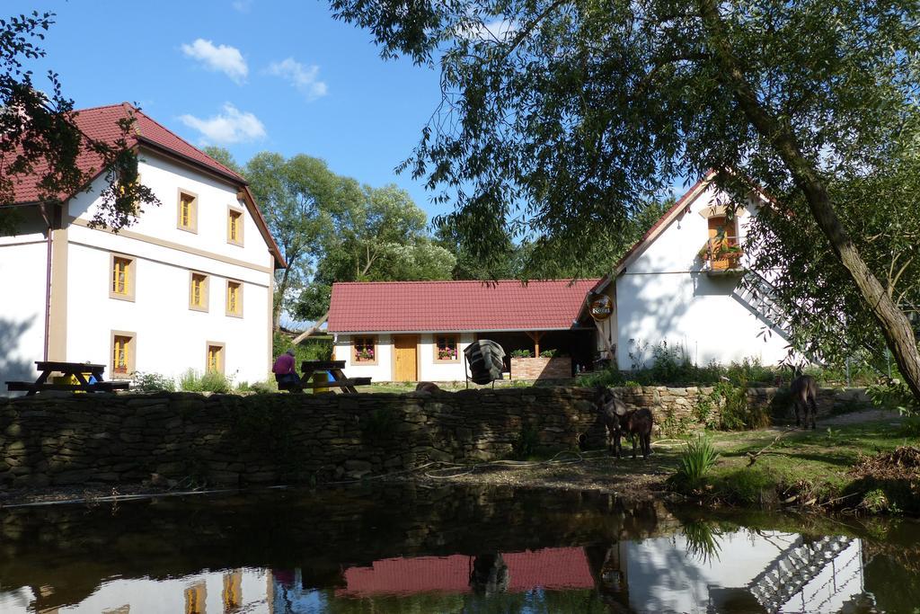 Biofarma Dolejsi Mlyn Villa Kamberk Екстериор снимка