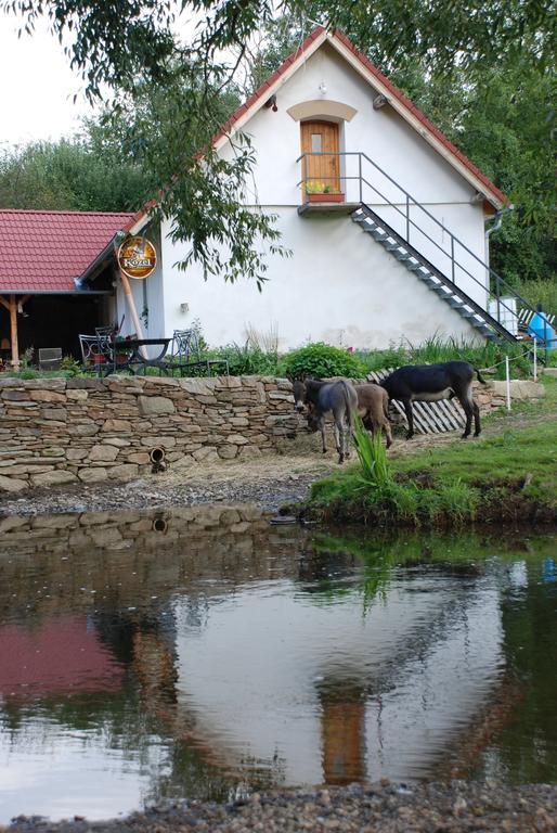 Biofarma Dolejsi Mlyn Villa Kamberk Екстериор снимка