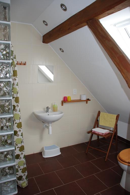 Biofarma Dolejsi Mlyn Villa Kamberk Стая снимка